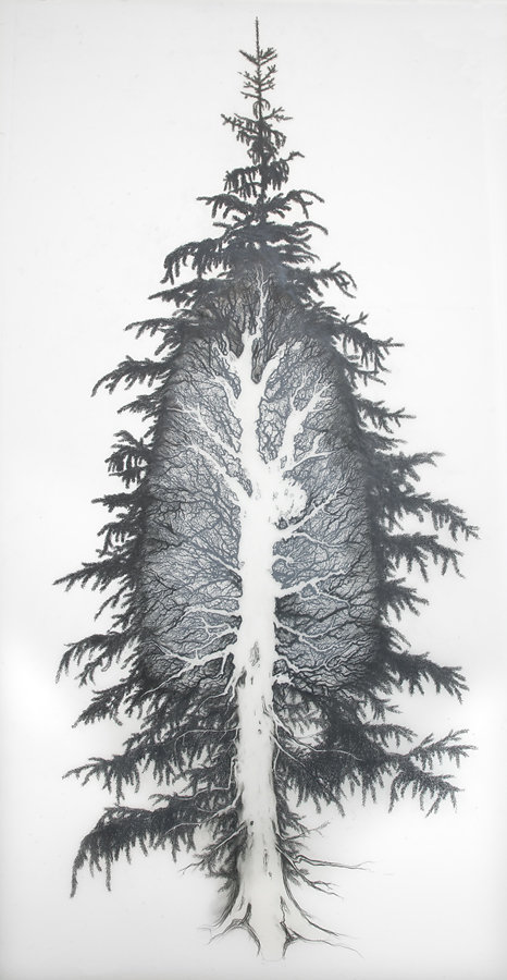 lung-tree-2-75dpi.jpg