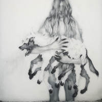 wolf-in-sheeps-clothing-1-75dpi.jpg - Anthony Goicolea