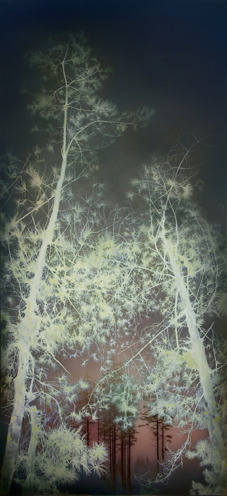 PHOSPHORESCENT FOREST