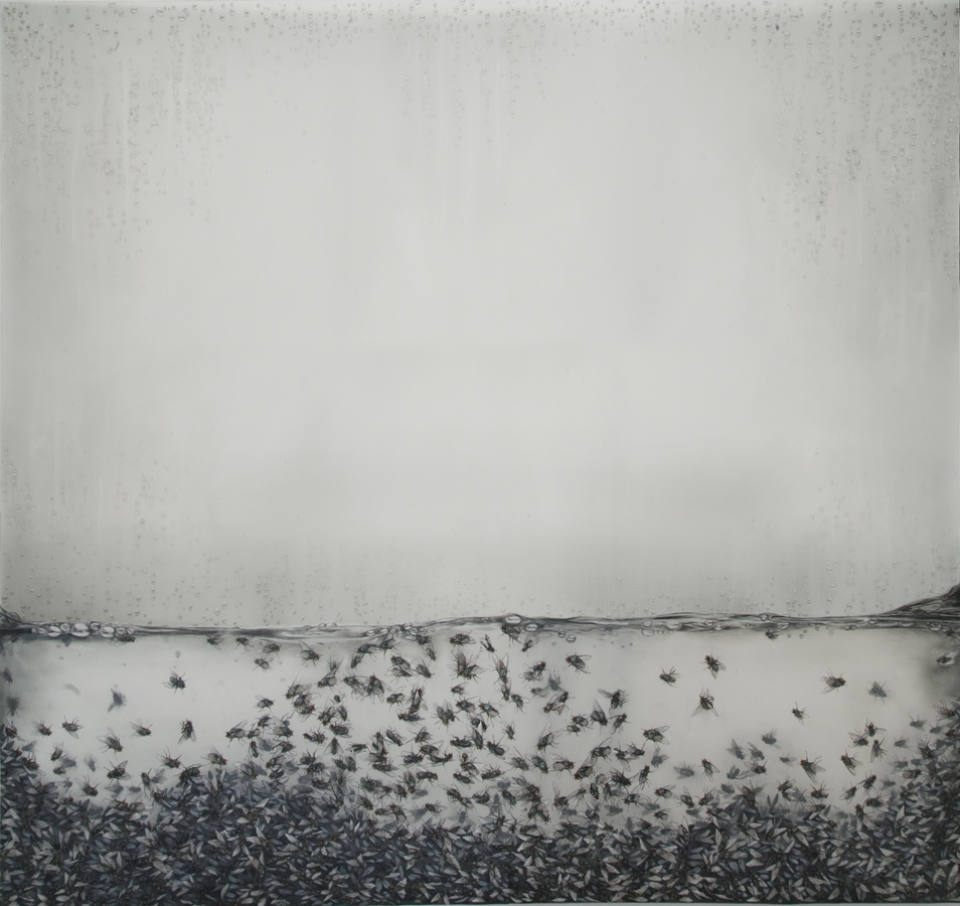 Content - Anthony Goicolea