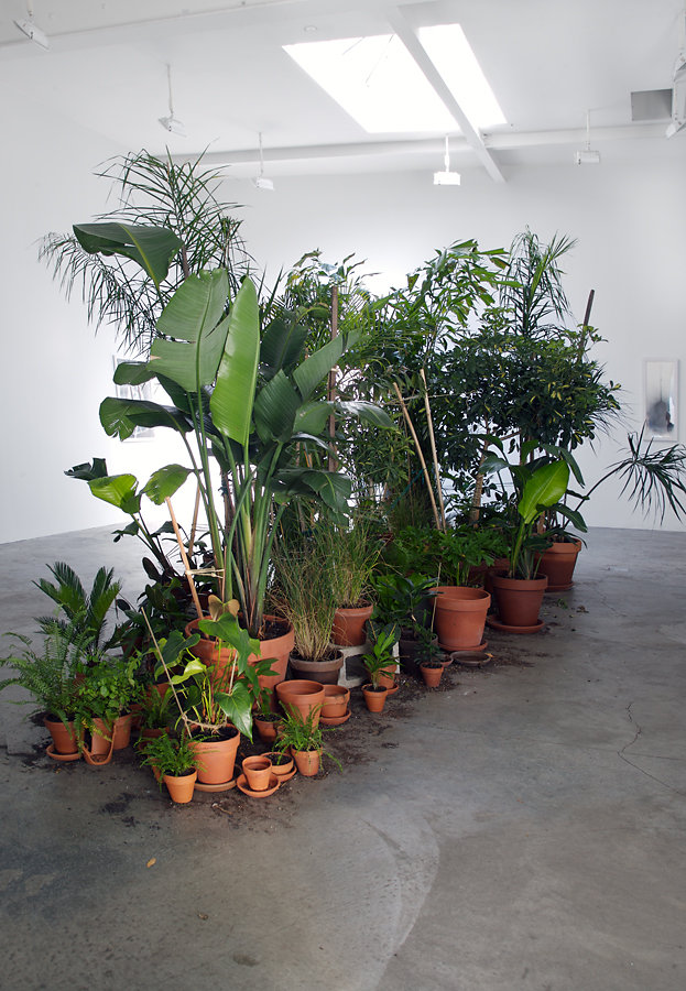 ONCE REMOVED INSTALLATION VIEW II