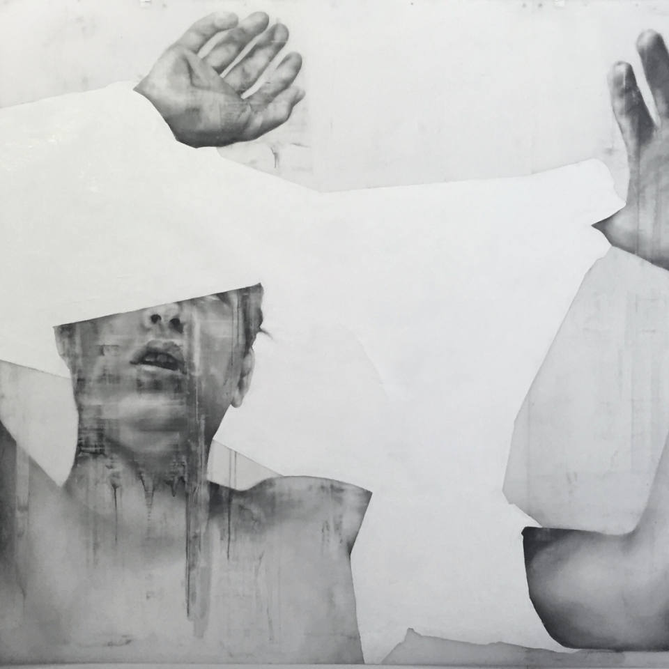 Anthony Goicolea　アンソニー・ゴイコレア SINGULART のアートワークを購入する アーティストにインスピ