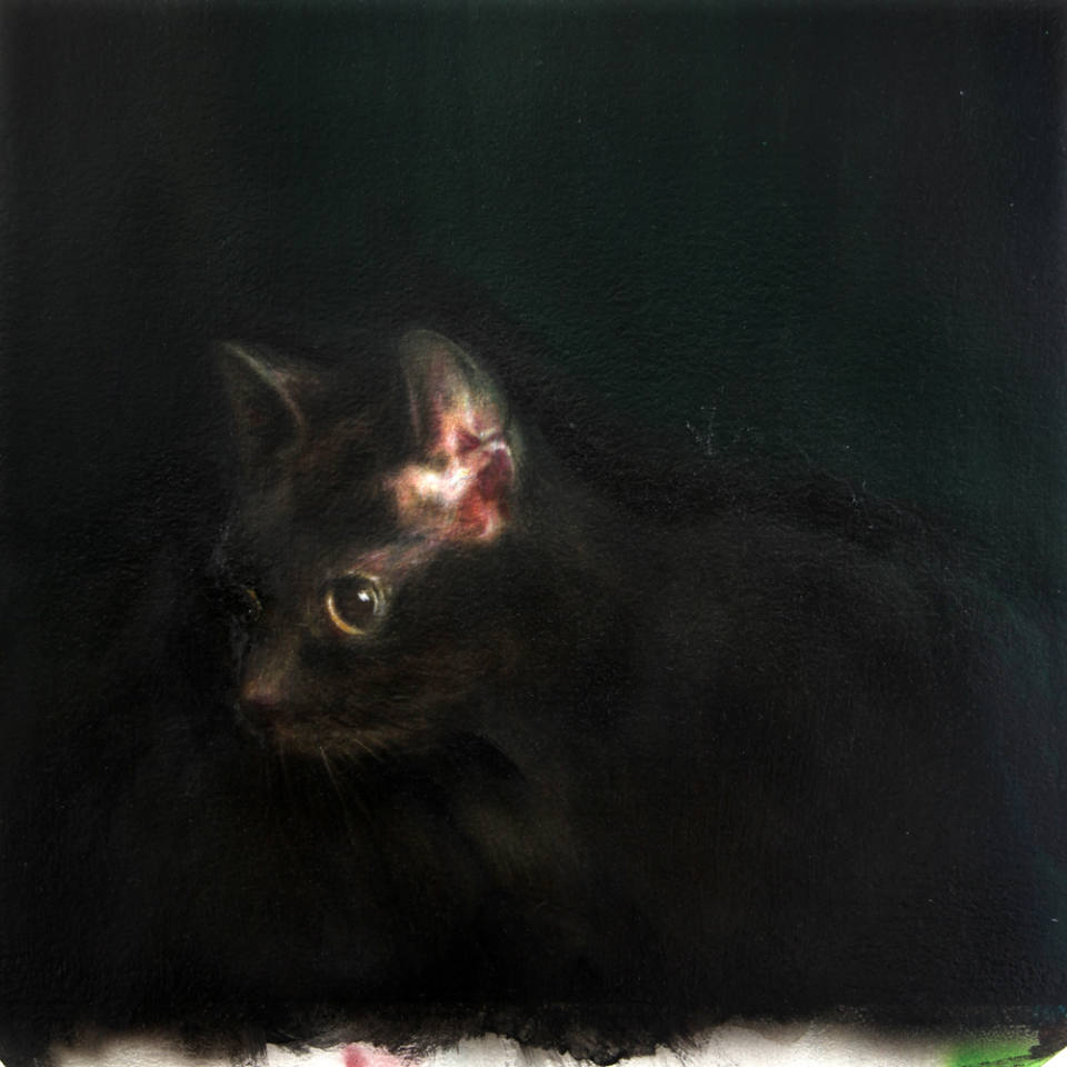 Content - Anthony Goicolea