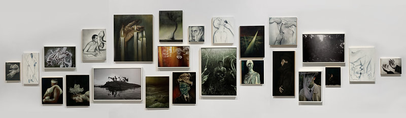 EXHIBITIONS - Anthony Goicolea